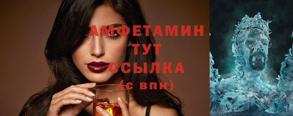 ECSTASY Инсар