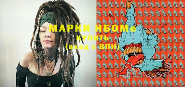 ECSTASY Инсар