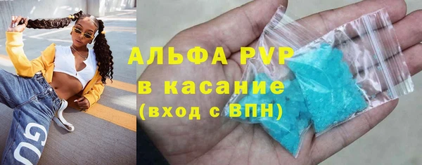ECSTASY Инсар